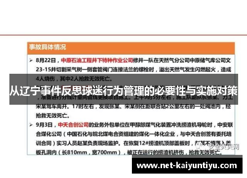 从辽宁事件反思球迷行为管理的必要性与实施对策