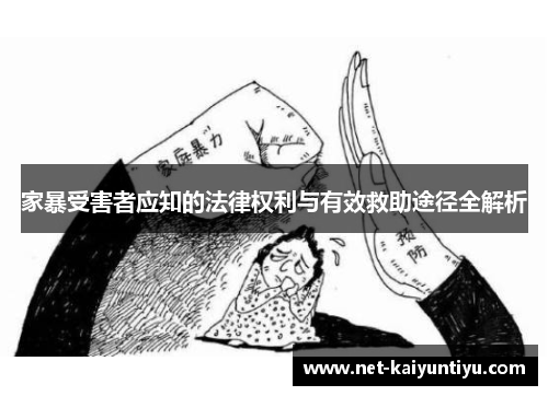 家暴受害者应知的法律权利与有效救助途径全解析