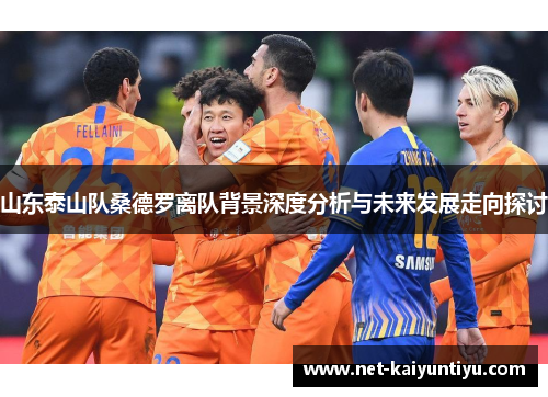 山东泰山队桑德罗离队背景深度分析与未来发展走向探讨