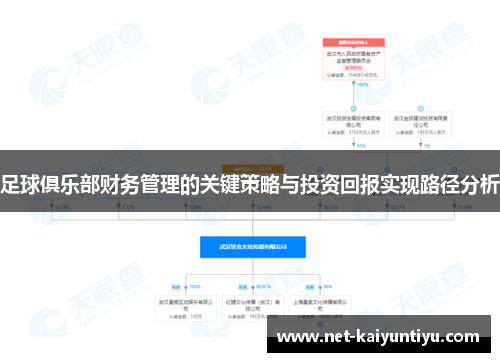 足球俱乐部财务管理的关键策略与投资回报实现路径分析 足球俱乐部财务管理的关键策略与投资回报实现路径分析