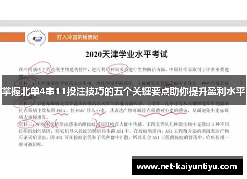 掌握北单4串11投注技巧的五个关键要点助你提升盈利水平