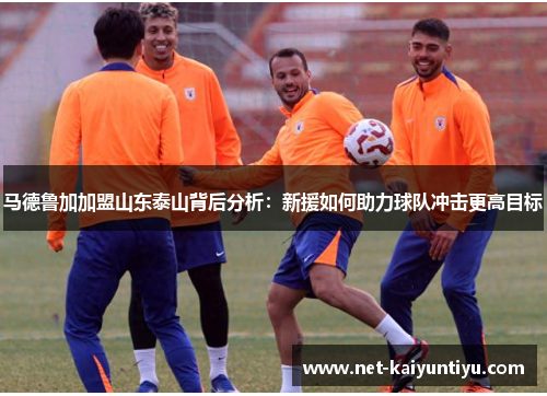 马德鲁加加盟山东泰山背后分析：新援如何助力球队冲击更高目标