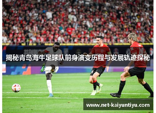 揭秘青岛海牛足球队前身演变历程与发展轨迹探秘